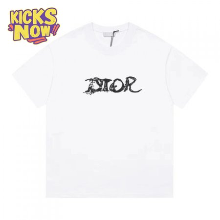 Dior Homme X Peter Doig Oversized Logo T-Shirt White