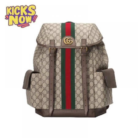 Gucci Ophidia Gg Backpack - GBP107