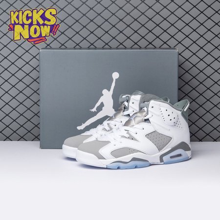 Air Jordan 6 Cool Grey CT8529-100 Men's