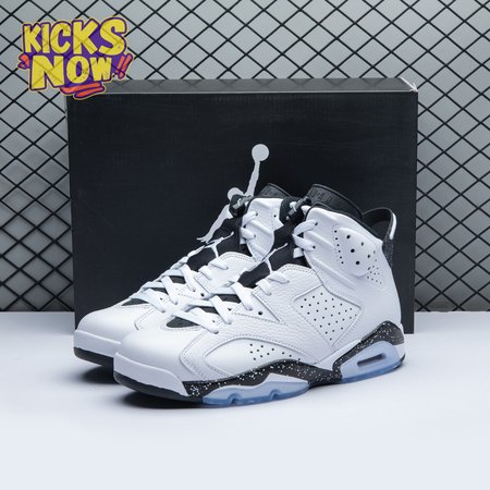 Air Jordan 6 "Reverse Oreo" CT8529 112 Men's